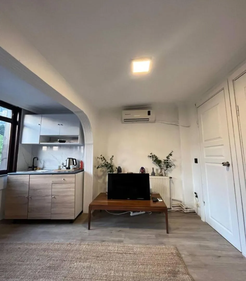 Blue Apartments With Views Istanbul Tyrkiet