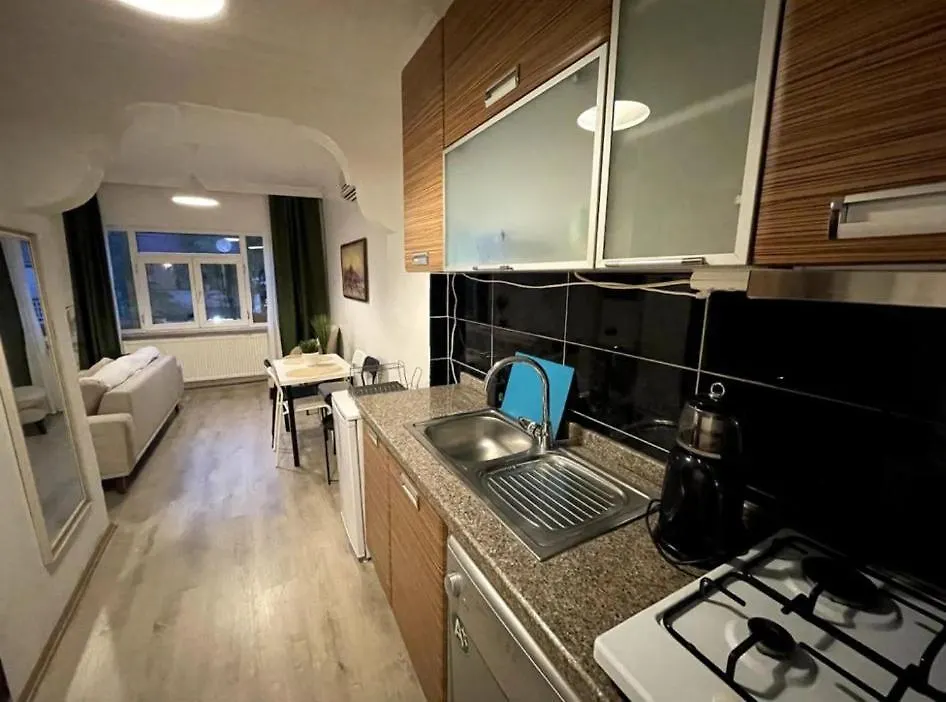 Blue Apartments With Views Istanbul Tyrkiet