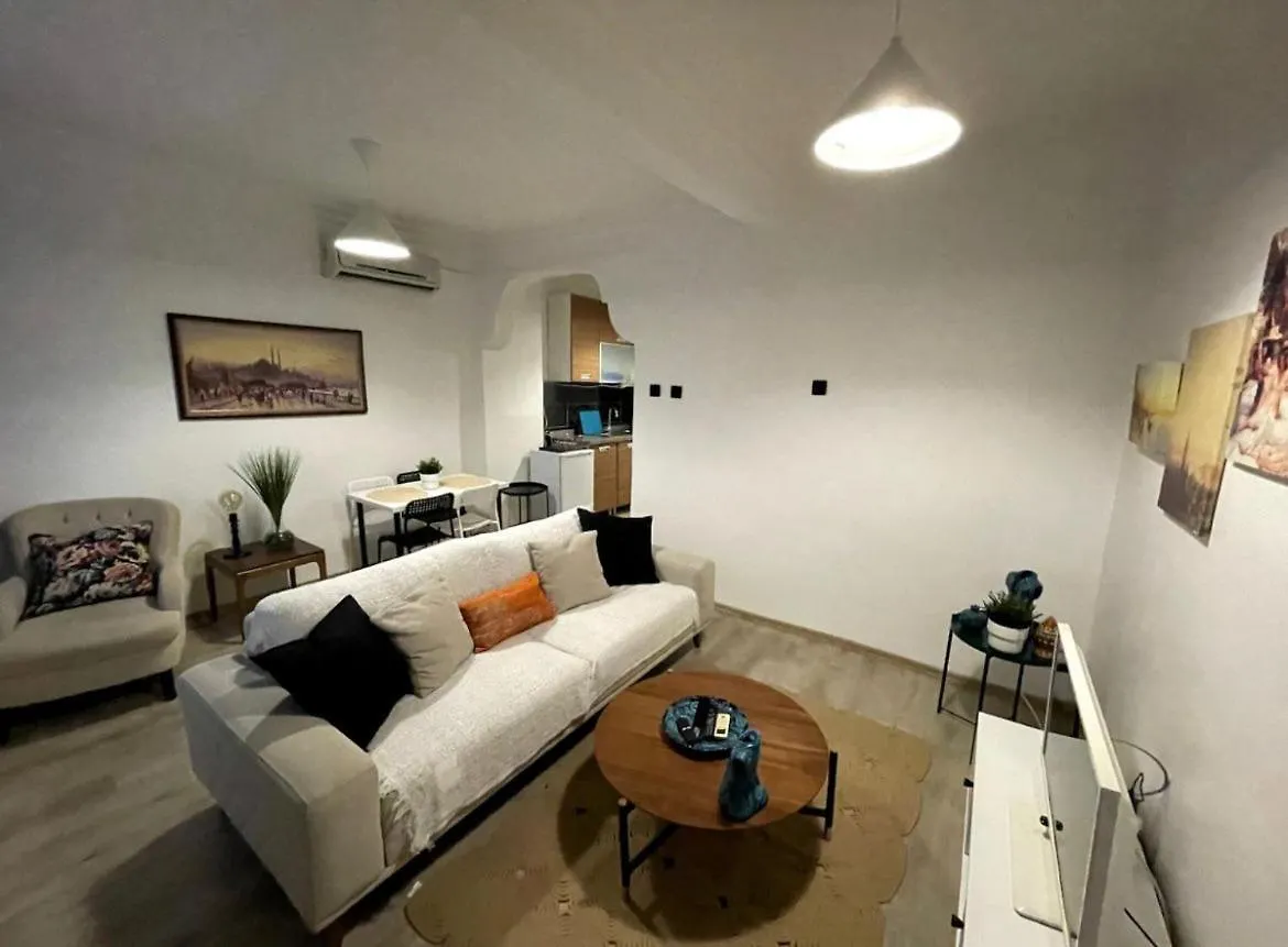 Blue Apartments With Views Istanbul Tyrkiet