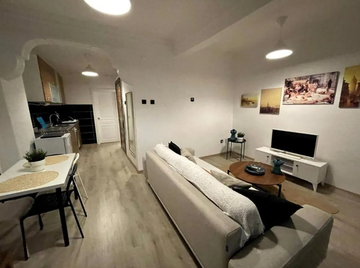 Blue Apartments With Views Istanbul